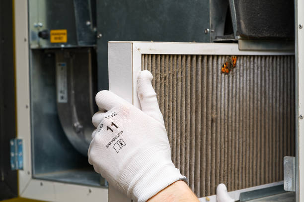 Air Duct Mold Removal in Vevay, IN
